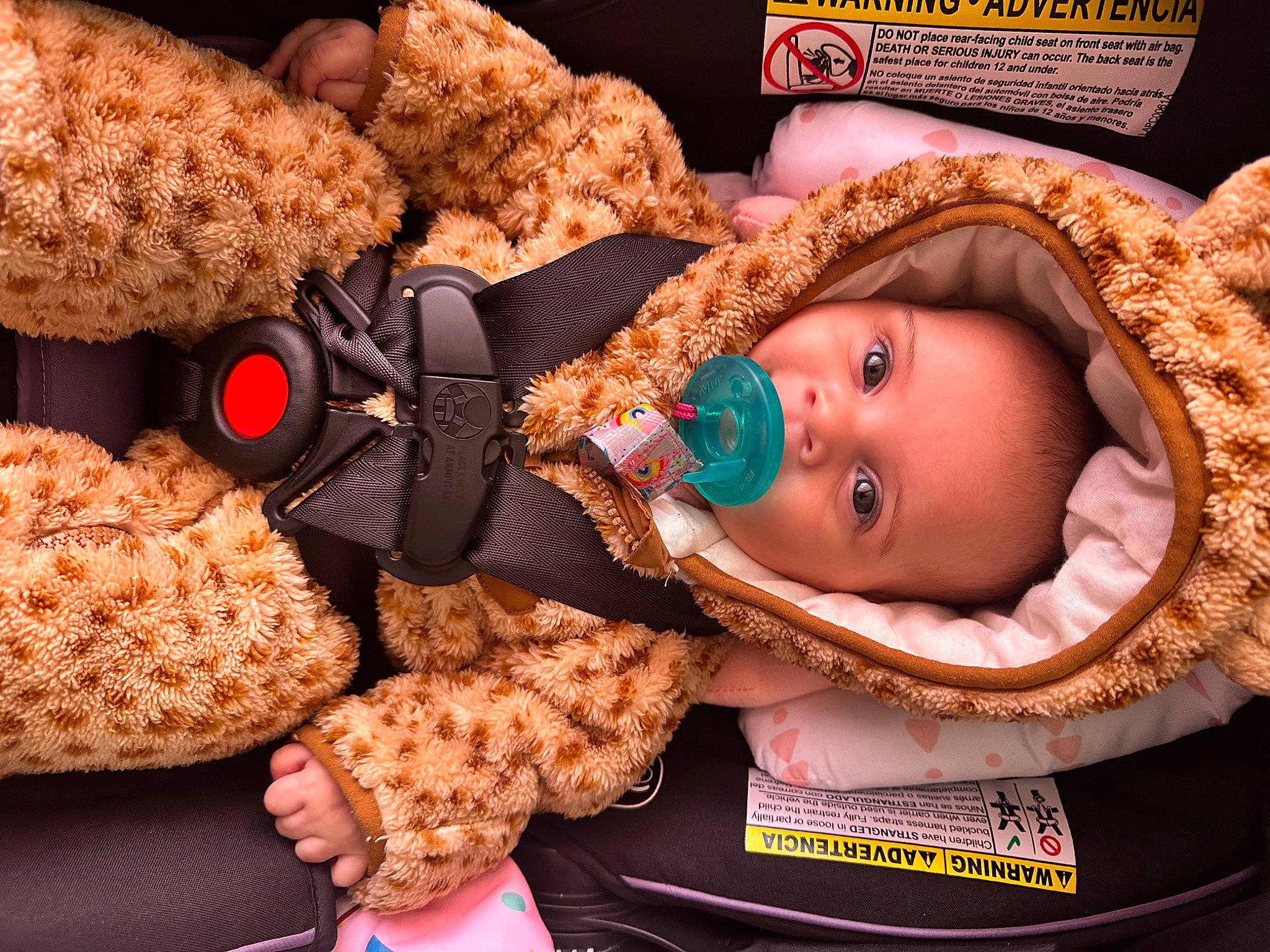 Kaidence joined the competition — help win amazing prizes! baby, baby_products, baby_toddler_clothing, beanie, cap, child, eyelash, fashion_accessory, fur, happy, headgear, knit_cap, orange, peach, person, room, smile, stuffed_toy, textile, toddler