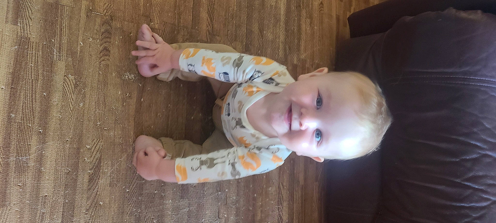Brady is registered to the contest to win money with this photo: baby, baby_toddler_clothing, cheek, child, chin, floor, flooring, head, human_body, joy, mammal, nose, pattern, person, product, skin, sleeve, smile, toddler, tree