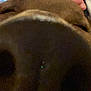 Cocoa is registered to the contest to win money with this photo: jaw