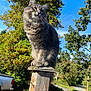 blue_sky, cat, close_up, ears, fence_post, fluffy_cat, gray_cat, greenery, nature, neighborhood, outdoor, paws, pickup_truck, portrait, road, sitting, sunlight, tree, whiskers, wooden_post