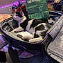 Chandler is registered to the contest to win money with this photo: bag, barnes_and_noble, bedroom, black_and_white, blanket, cat, charger, cozy, curious, electronics, fur, furniture, home, indoor, notebook, pet, pink_paw, purple_light, resting, suitcase