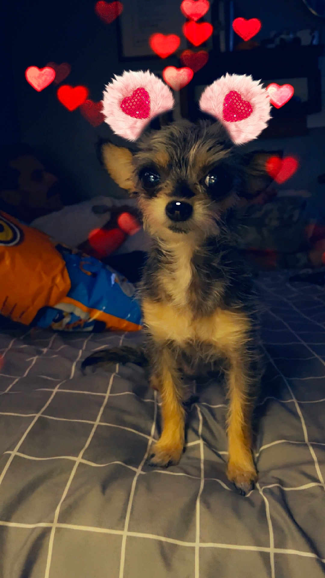 Cali May
