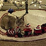 cat, christmas_tree, christmas_lights, ornament, train, toy_train, holiday_decor, carpet, fluffy_rug, indoor, festive, decorations, animal, pet, relaxed, winter, celebration, christmas, feline, cute