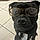 Walter