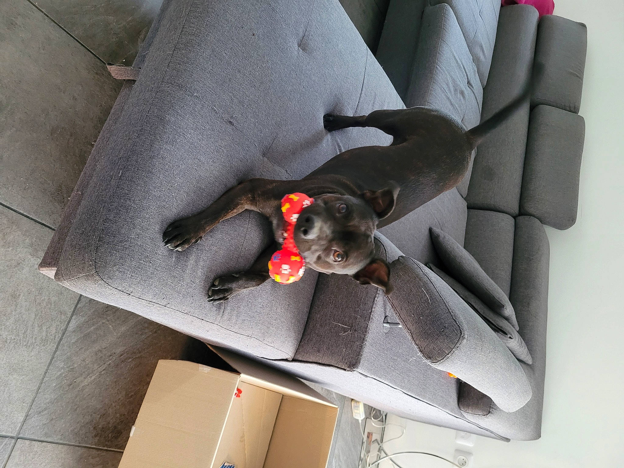 Mayze participe au concours pour gagner de l'argent avec cette photo : auto_part, automotive_design, automotive_exterior, automotive_wheel_system, bumper, car, car_seat, carmine, comfort, composite_material, fashion_accessory, grey, human_body, luxury_vehicle, metal, motor_vehicle, suit, tie, vehicle, vehicle_door