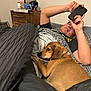 person, dog, bed, blanket, smartphone, furniture, indoor, lamp, nightstand, brown_dog, relaxing, casual, resting, comfort, home, sleepwear, patterned_blanket, wooden_furniture, tabletop_items, wall