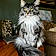 Atticus