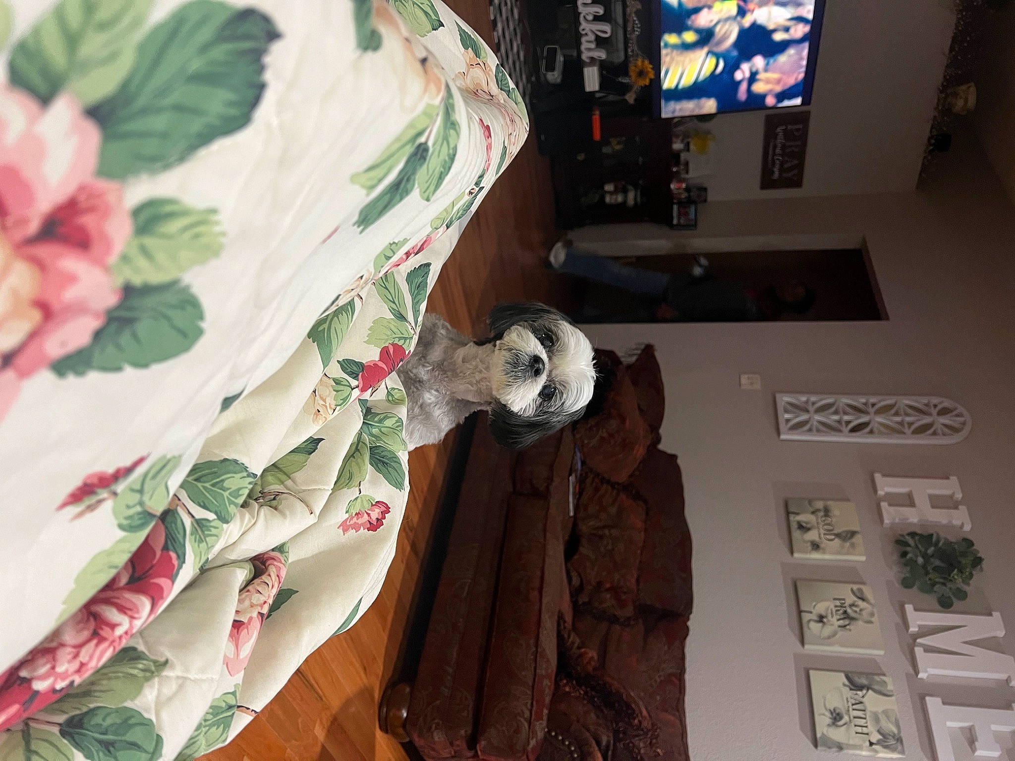 Zoey is registered to the contest to win money with this photo: art, collection, display_device, flooring, flower, house, interior_design, linens, pattern, peach, petal, plant, product, room, stuffed_toy, television, tree, visual_arts, wall, wood