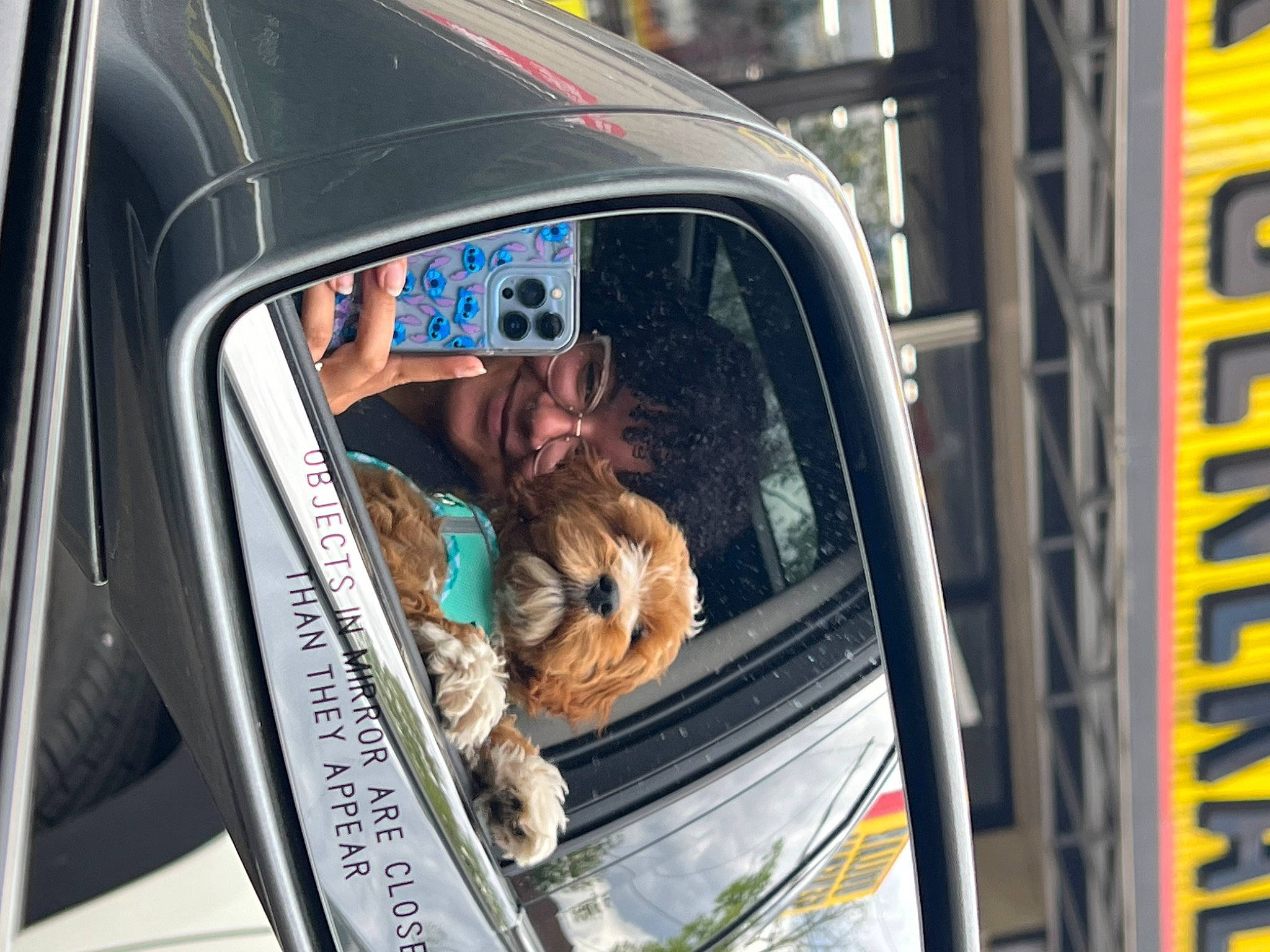 Phoenix is registered to the contest to win money with this photo: auto_part, automotive_design, automotive_exterior, automotive_lighting, automotive_window_part, car, car_seat, carnivore, felidae, glass, hood, land_vehicle, mode_of_transport, motor_vehicle, personal_luxury_car, snout, vehicle, vehicle_door, window, windshield