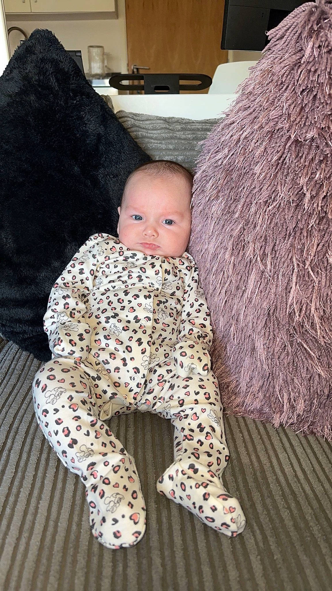 Cleo is registered to the contest to win money with this photo: baby, baby_toddler_clothing, child, doll, fawn, flooring, fur, human_body, human_leg, mammal, military_camouflage, outerwear, pattern, person, sitting, sleeve, stuffed_toy, thigh, toy, wood