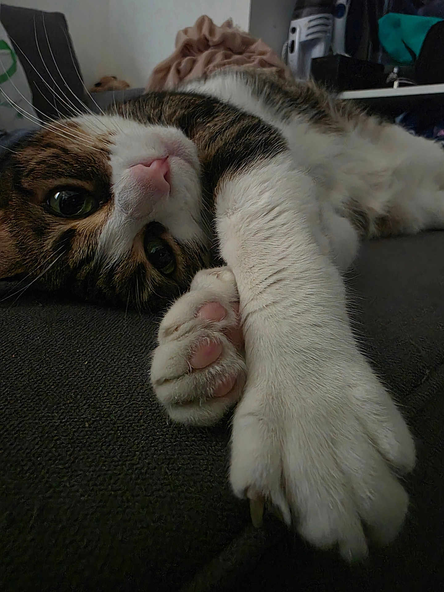Pimkie