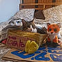 abyssinian, animal, bed, bedroom, blanket, box, cat, computer, couch, cushion, furniture, homedecor, indoors, kitten, linen, pet, plush, room, teddybear, toy