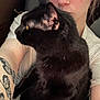 animal, arm, black_cat, butterfly_tattoo, casual, cat, closeup, comfort, cuddle, face, fur, indoor, light_skin, person, pet, portrait, seated, short_sleeve_shirt, tattoo, whiskers