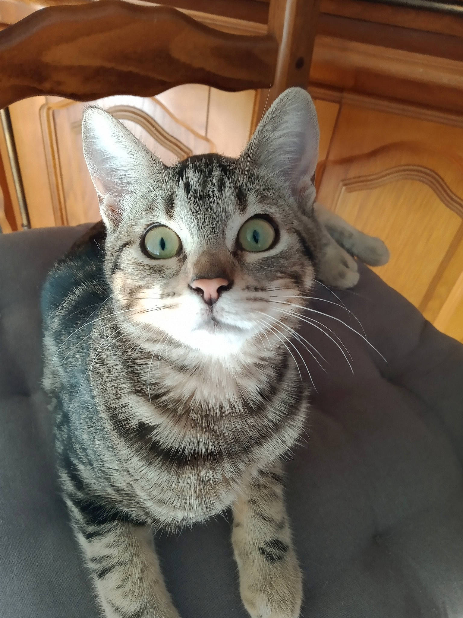 Sissi
