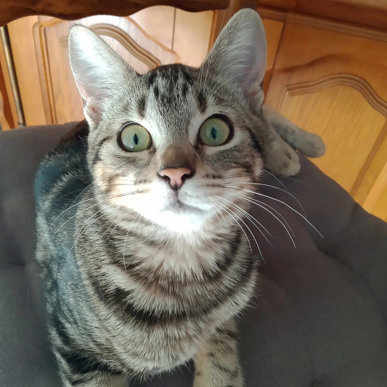 Sissi