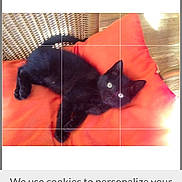 Bali participe au concours pour gagner de l'argent avec cette photo : abyssinian, advertisement, animal, blackcat, cat, cushion, den, electronics, furniture, homedecor, indoors, kitten, manx, page, person, pet, poster, sleeping, text