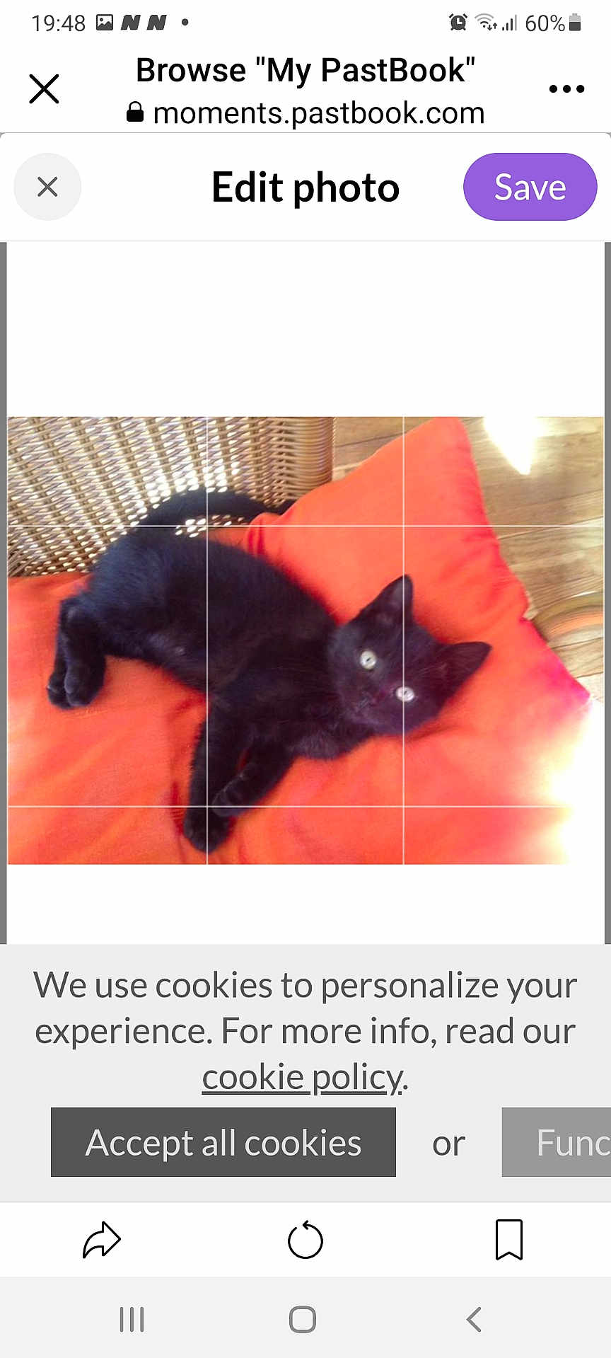 Bali participe au concours pour gagner de l'argent avec cette photo : abyssinian, advertisement, animal, blackcat, cat, cushion, den, electronics, furniture, homedecor, indoors, kitten, manx, page, person, pet, poster, sleeping, text