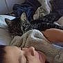 bed, blanket, cat, child, closeup, comfort, cozy, feline, fur, home, indoor, nap, peaceful, person, relaxation, resting, sleeping, soft_texture, tabby_cat, warm