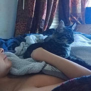 Milo is registered to the contest to win money with this photo: animal, bed, blanket, cat, comfort, cozy, curtains, domestic_animal, fabric, furniture, home, indoor, person, pet, relaxation, resting, side_view, sleep, soft_light, tabby_cat