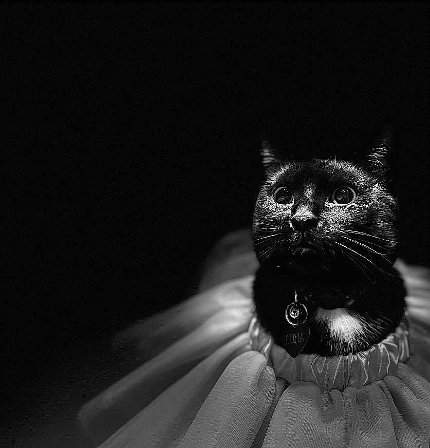 Luna