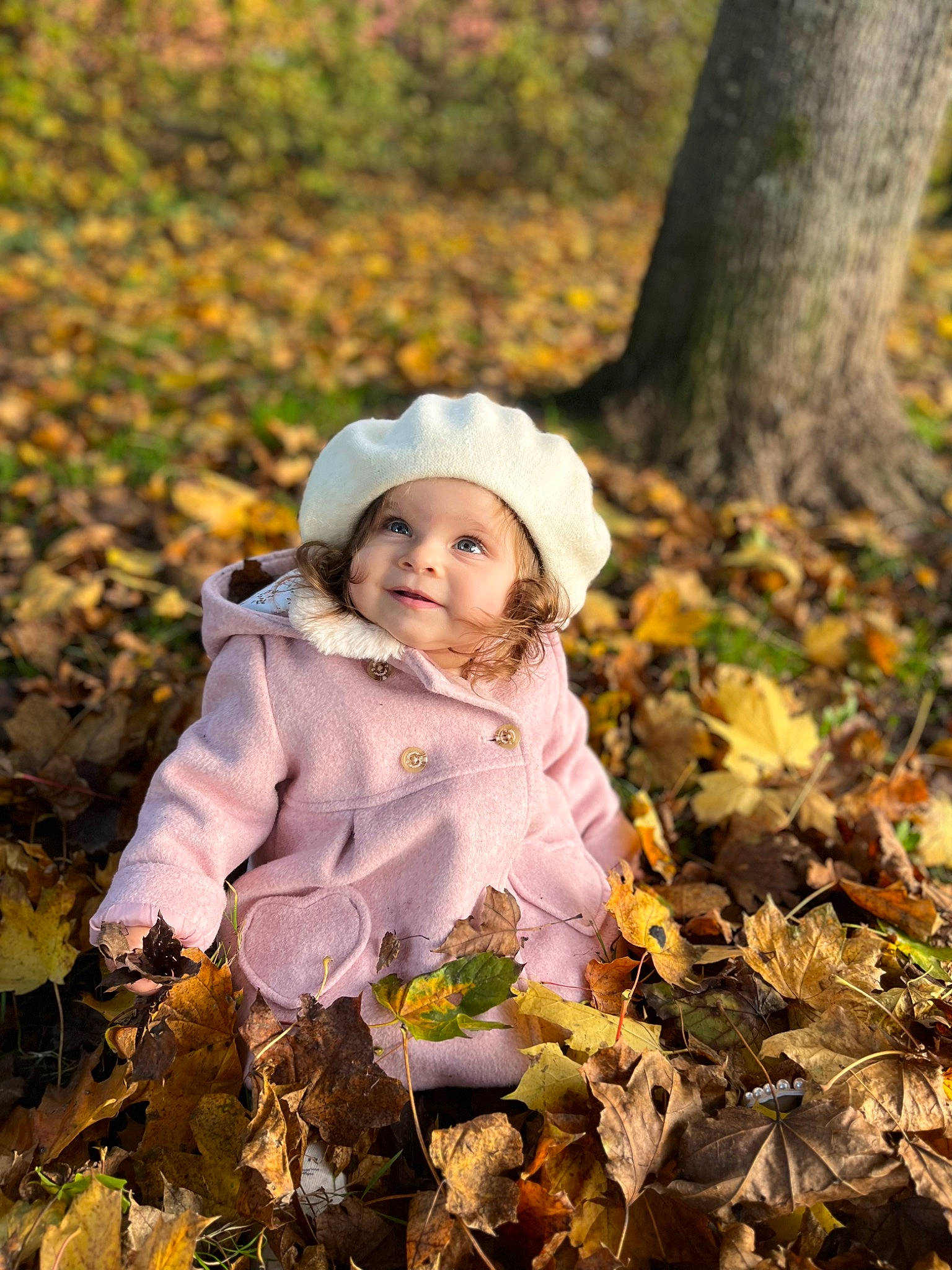 Vanessa participe au concours pour gagner de l'argent avec cette photo : autumn, baby, baby_toddler_clothing, child, deciduous, forest, grass, happy, hat, headwear, joy, leaf, natural_landscape, people_in_nature, person, plant, portrait_photography, smile, toddler, tree