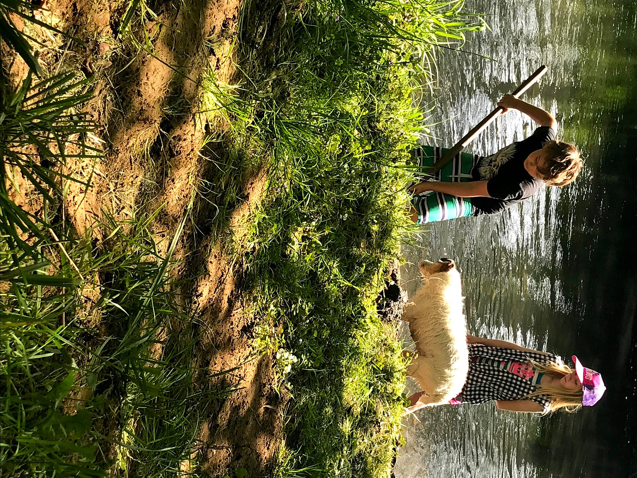 Josey joined the competition — help win amazing prizes! forest, fun, grass, leisure, organism, plant, reflection, river, tree, trunk, water, watercourse