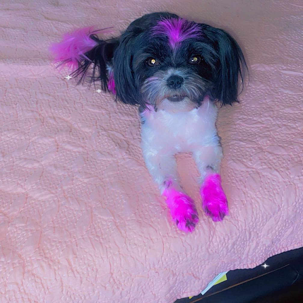 Mama Girl