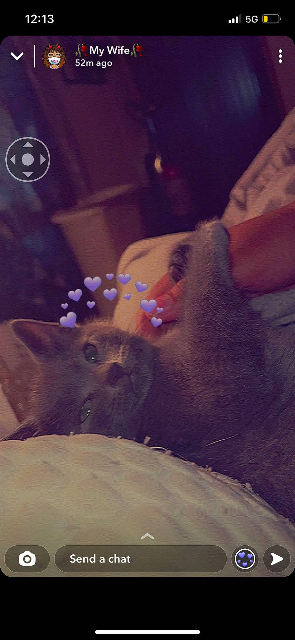 Bronco joined the competition — help win amazing prizes! canidae, darkness, fawn, felidae, flesh, fur, human_leg, logo, marsupial, paw, photo_caption, sitting, small_to_medium_sized_cats, sunglasses, tail, teddy_bear, toy, whiskers