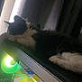 cat, gaming_pc, computer, rgb_lighting, curtain, indoor, technology, pet, relaxing, electronics, black_and_white_cat, hardware, fan, glowing, leisure, feline, side_view, domestic_animal, resting, modern