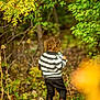 autumn, black_pants, blurred_background, casual_clothing, child, curly_hair, forest, greenery, leaves, nature, outdoor, path, plants, shoes, striped_sweater, toddler, trees, walking, yellow_leaves, young_child