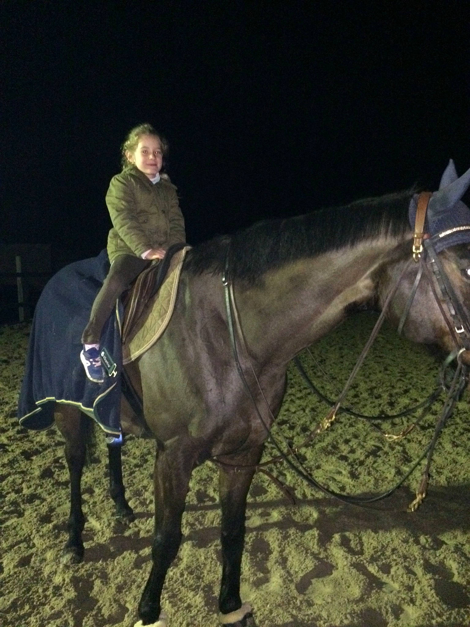 Doudou participe au concours pour gagner de l'argent avec cette photo : animal_sports, bridle, equestrianism, halter, horse, horse_harness, horse_supplies, horse_tack, horse_trainer, mammal, mane, mare, night, organism, pack_animal, recreation, rein, saddle, sky, stallion