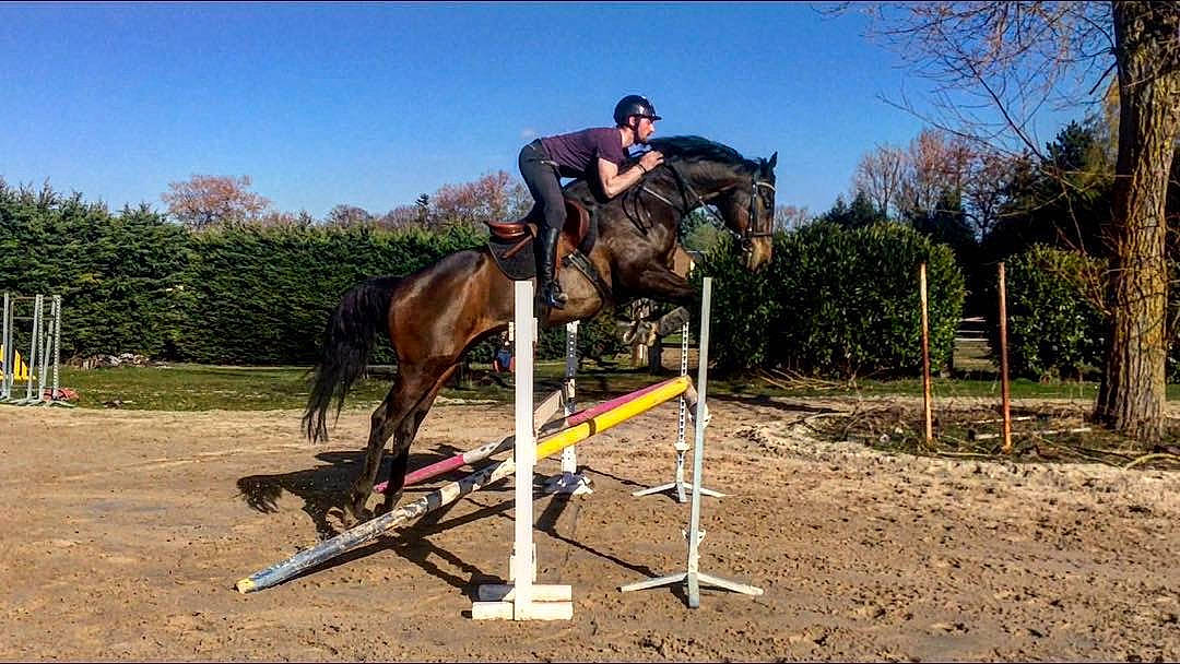 Doudou participe au concours pour gagner de l'argent avec cette photo : animal_sports, bridle, english_riding, equestrian, equestrian_sport, equestrianism, equitation, halter, horse, horse_supplies, horse_tack, hurdle, jumping, mammal, outdoor_recreation, recreation, rein, saddle, show_jumping