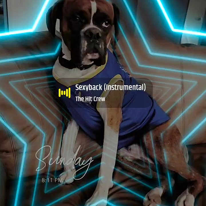 Diesel joined the competition — help win amazing prizes! adult, animal, art, book, bostonbull, boxer, bulldog, canine, comics, dog, laser, light, lighting, male, man, neon, person, pet, publication, saintbernard