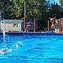 animal, backyard, canine, daytime, dog, fence, fun, jumping, motion, outdoor, pet, playful, pool, recreation, shed, splash, summer, sunny, trees, water