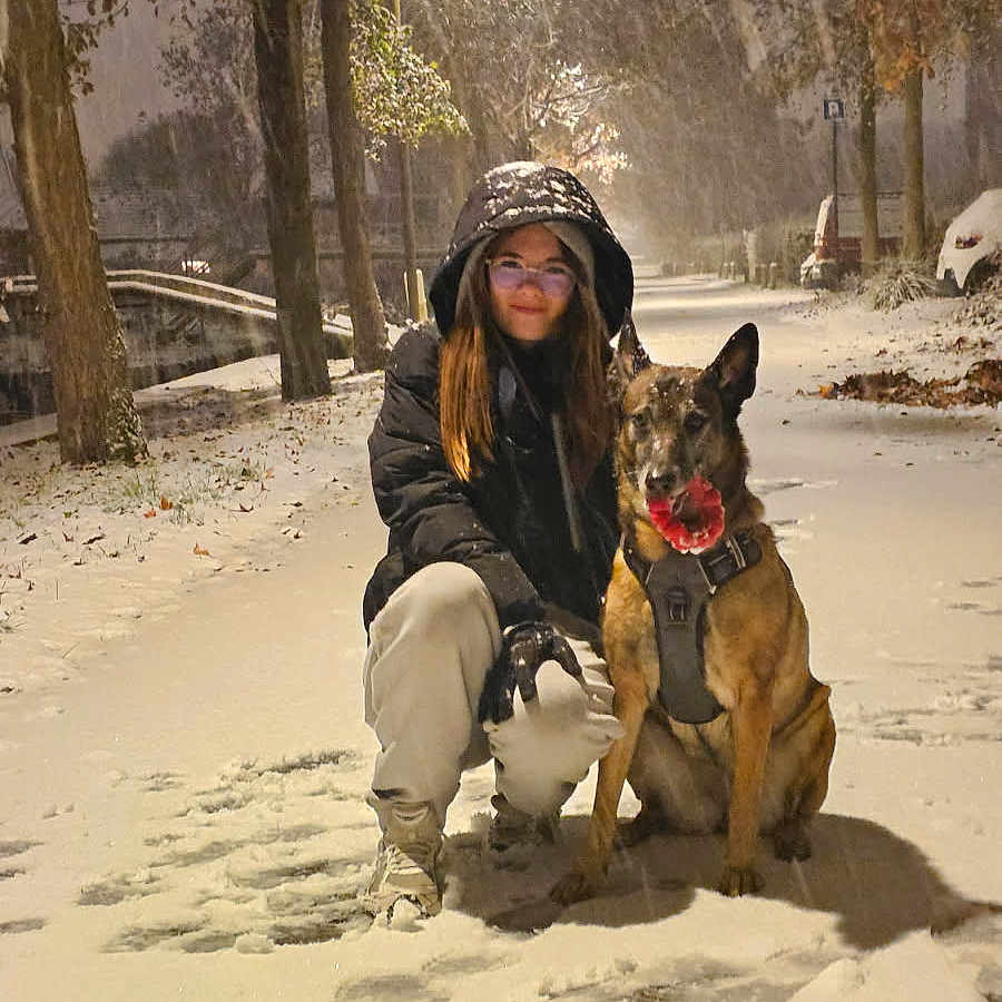 Oana a rejoint le concours — aidez-le/la à gagner de superbes lots ! animal, canine, cold_weather, dog, footprints, glasses, jacket, leash, nature, night, outdoor, park, pavement, person, snow, snowfall, streetlight, toy, trees, winter