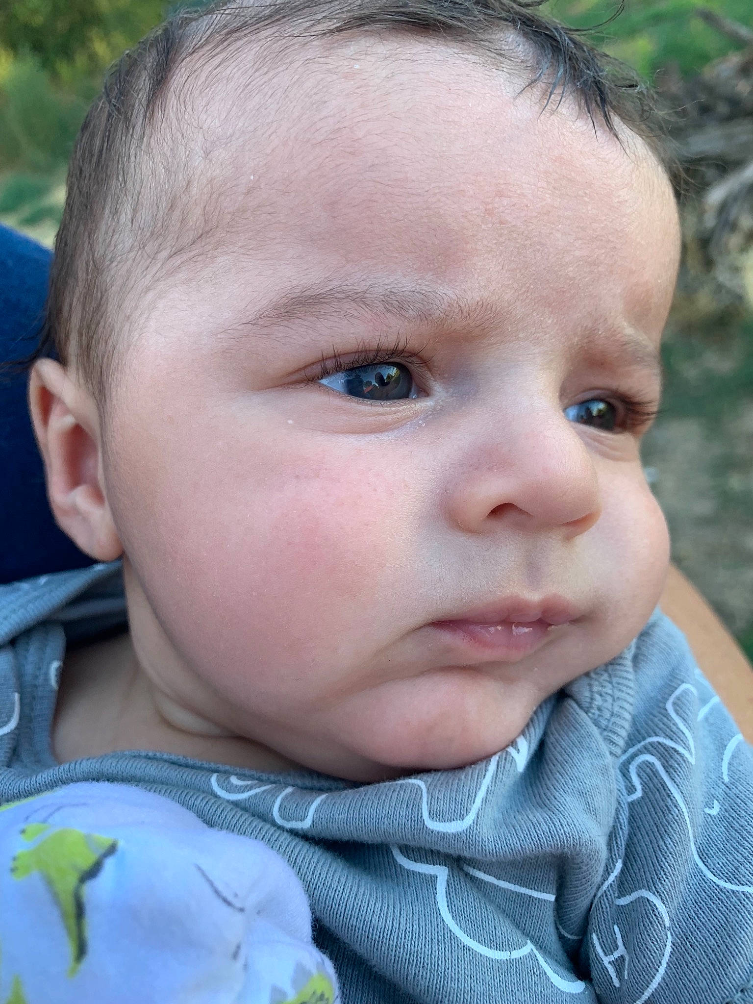Brandon Lee is registered to the contest to win money with this photo: baby, cheek, child, chin, close_up, ear, eye, eyebrow, face, forehead, grass, head, iris, lip, mouth, nose, person, photography, portrait_photography, skin