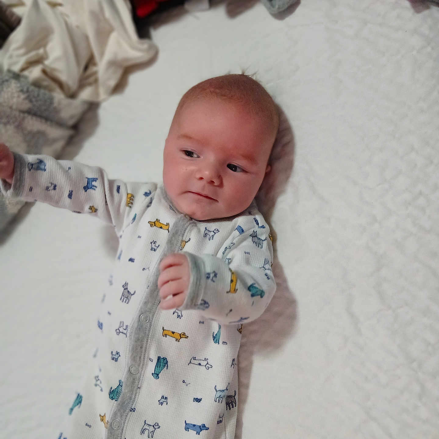 Jason is registered to the contest to win money with this photo: baby, infant, onesie, lying_down, blanket, soft_fabric, cute, child, indoors, sleepwear, patterned_clothing, white_background, relaxed, cozy, small_child, person, newborn, baby_garment, soft_texture, colorful_prints