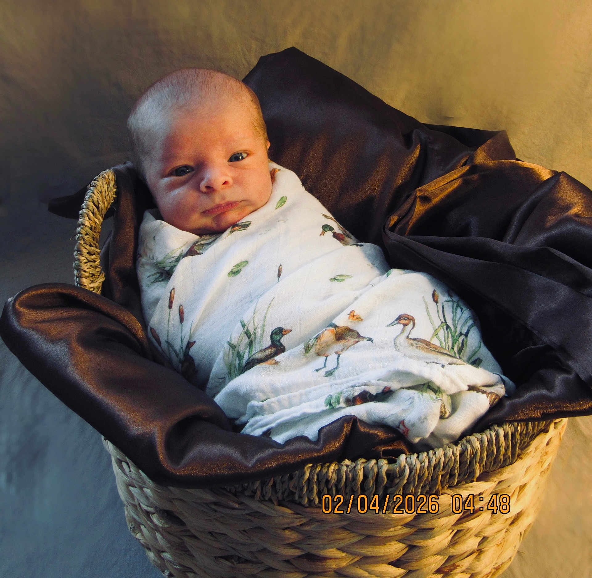 River joined the competition — help win amazing prizes! newborn, baby, swaddled, blanket, basket, face, infant, portrait, fabric, soft_lighting, curious_expression, woven, cozy, resting, indoors, cute, child, wrapped, duck_pattern, sleepy
