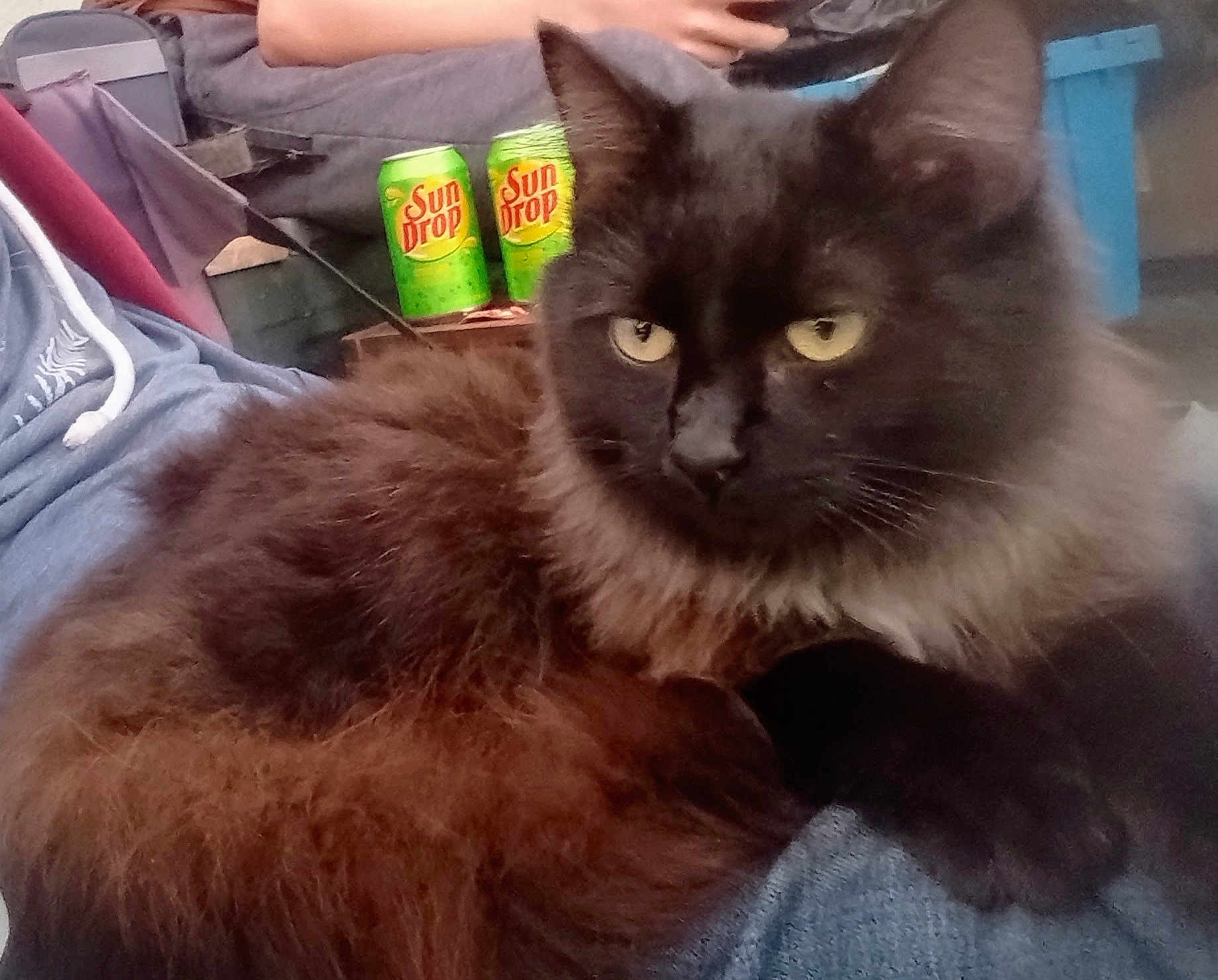 Beowolf Aka Wolfdawg