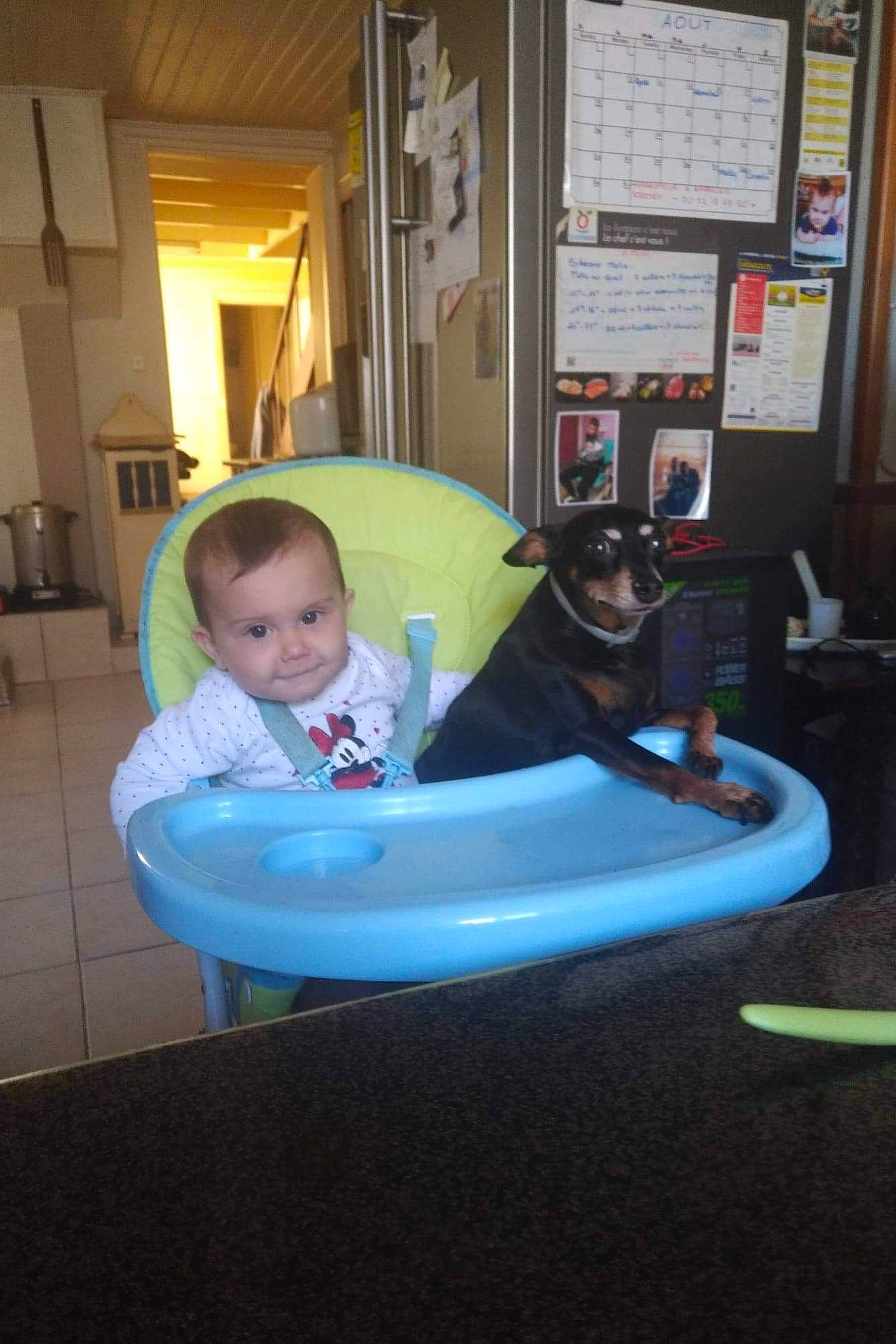 Malia participe au concours pour gagner de l'argent avec cette photo : baby, child, fun, leisure, person, play, toddler, vacation