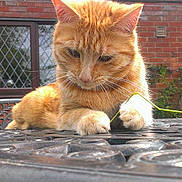 Wilson is registered to the contest to win money with this photo: