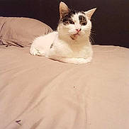 Charles joined the competition — help win amazing prizes!