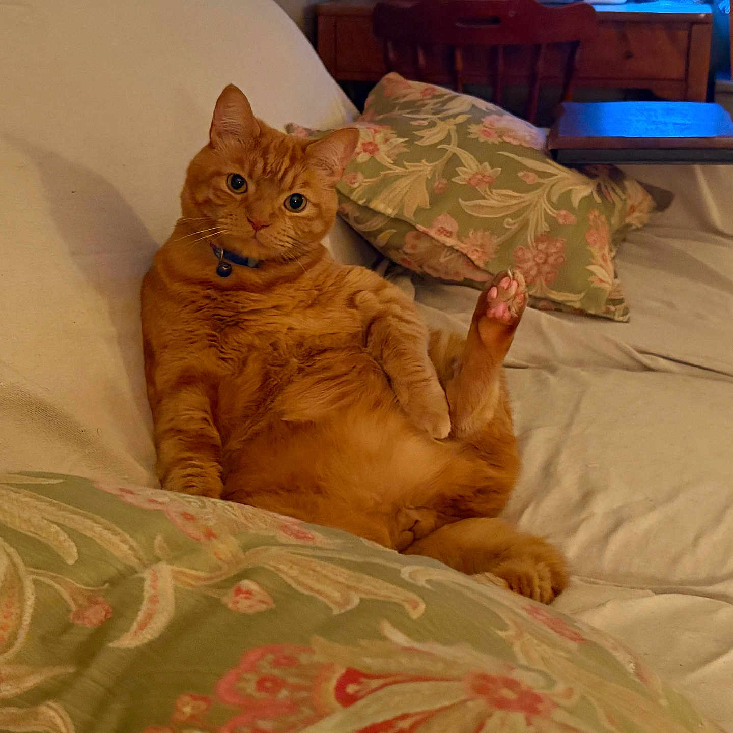 Butters