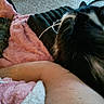 Bunny joined the competition — help win amazing prizes! cat, tabby_cat, black_and_white_cat, blanket, pink_blanket, carpet, arm, human, resting, cozy, indoor, pet, feline, fur, animal, relaxation, companion, soft_texture, cuddle, home