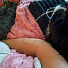 cat, blanket, fur, arm, cozy, resting, indoor, texture, pink, black, gray, striped, soft, closeup, relaxation, comfort, sleeping, pet, animal, cuddle