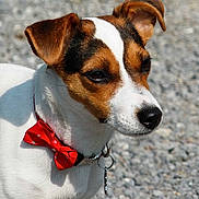 Isa a rejoint le concours — aidez-le/la à gagner de superbes lots !