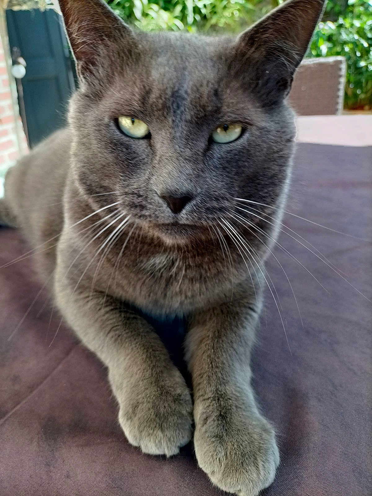 Ragnar