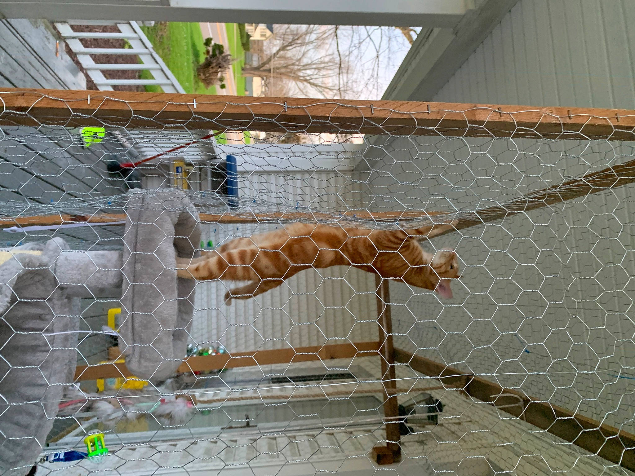 Frank is registered to the contest to win money with this photo: brick, brickwork, cage, chain_link_fencing, composite_material, concrete, facade, gas, glass, line, mesh, metal, net, rope, tree, twig, winter, wire, wire_fencing, wood