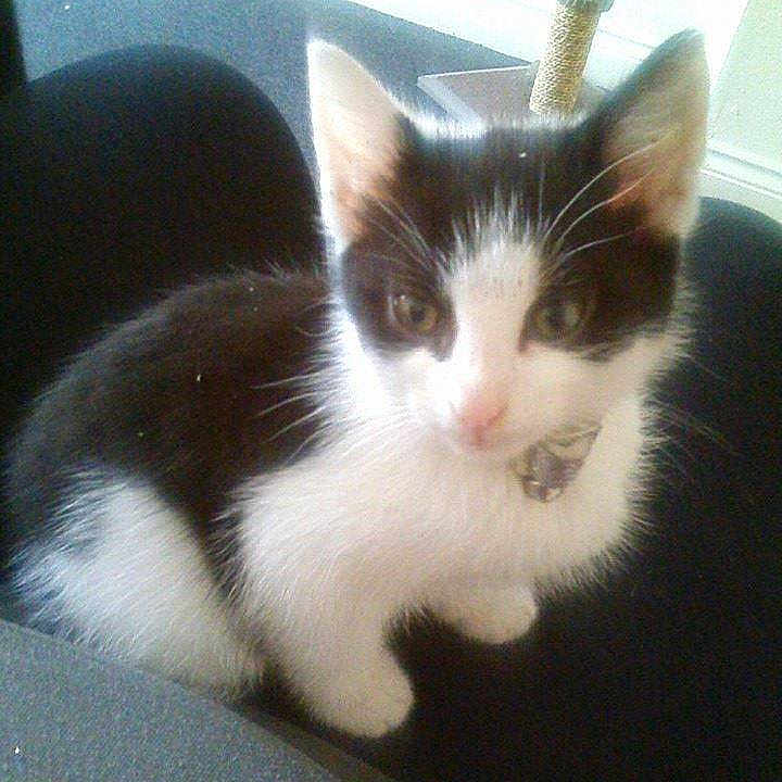 Leah joined the competition — help win amazing prizes!