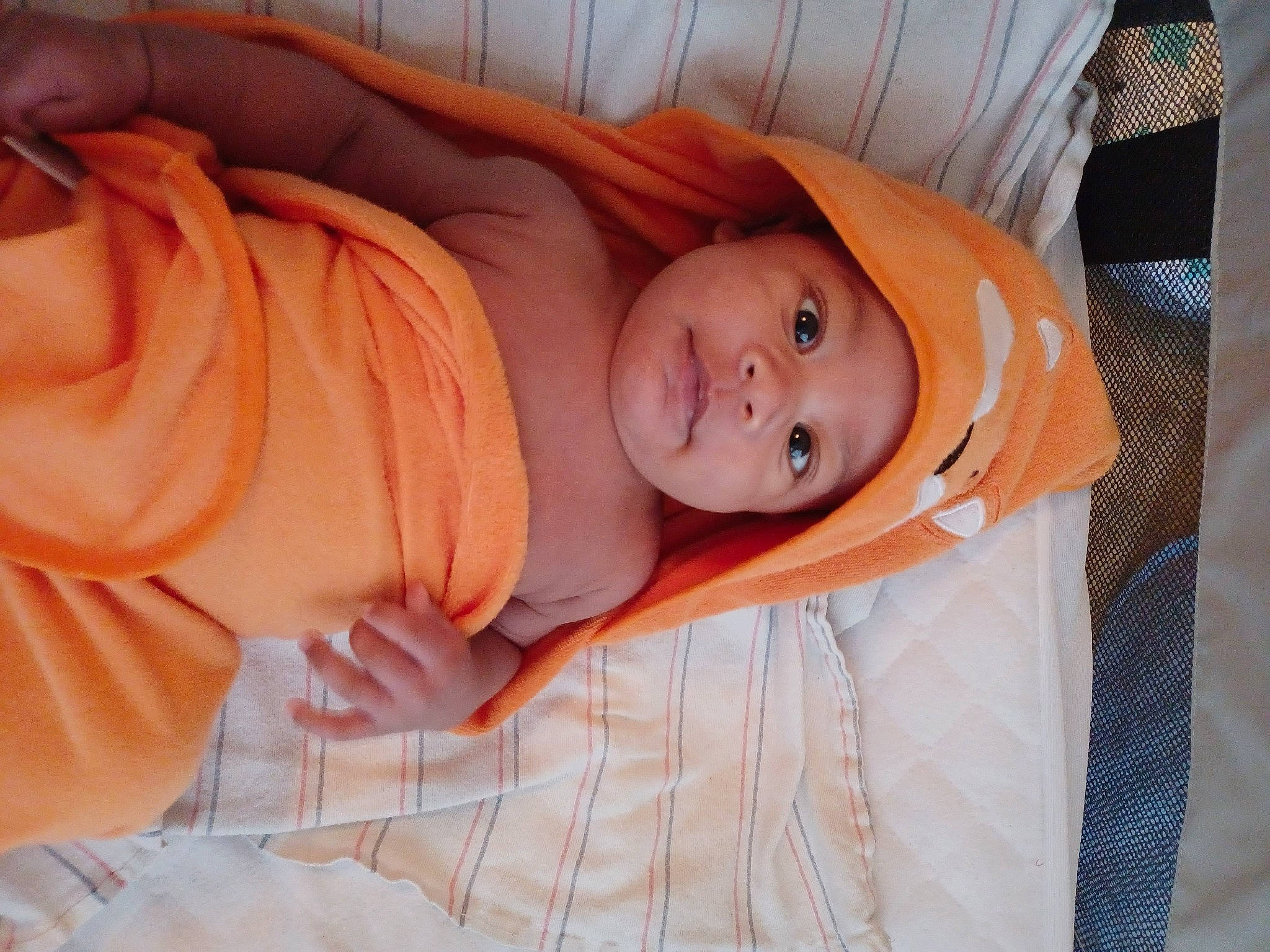 Jayceon is registered to the contest to win money with this photo: baby, baby_products, baby_safety, baby_sleeping, baby_toddler_clothing, bed, bedding, bedtime, cheek, child, comfort, eye, headwear, human_body, infant_bed, linens, nap, nose, orange, person